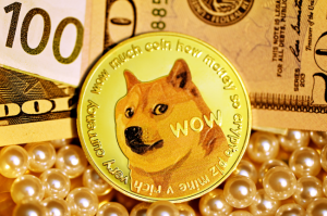 image of doge coin wow