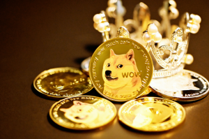 image of doge coins 