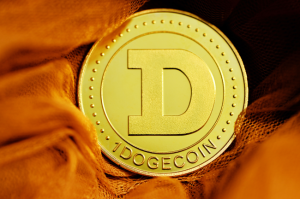 picture of doge coin D