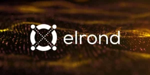 Elrond (EGLD) coin: Is it the most promising cryptocurrency?